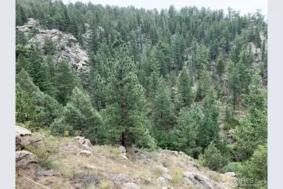 875 Pine Tree Dr, Estes Park, CO 80517 - Photo 23