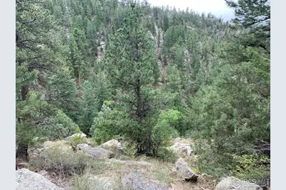 875 Pine Tree Dr, Estes Park, CO 80517 - Photo 25