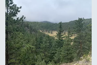 875 Pine Tree Dr, Estes Park, CO 80517 - Photo 7