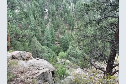 875 Pine Tree Dr, Estes Park, CO 80517 - Photo 21