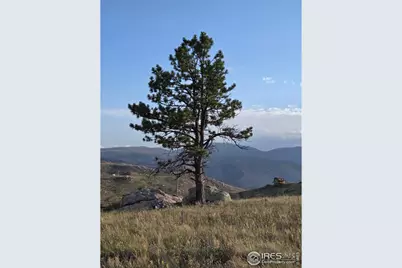 443 Meadow Mountain Dr, Livermore, CO 80536 - Photo 1