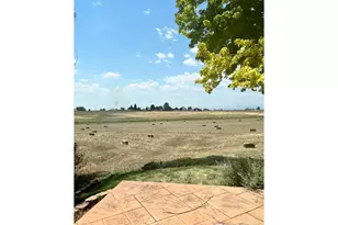 12902 Hwy 392, Greeley, CO 80631 - Photo 29