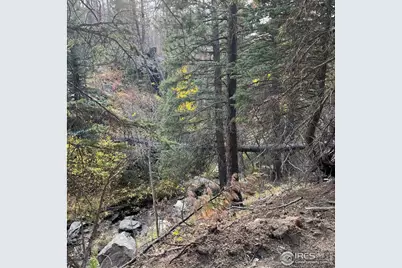 11 Monument Gulch Way, Bellvue, CO 80512 - Photo 3