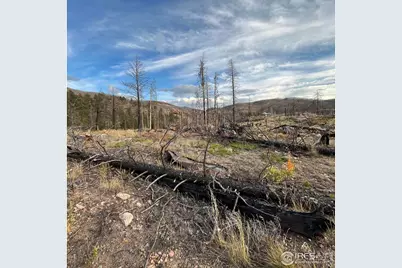 11 Monument Gulch Way, Bellvue, CO 80512 - Photo 5