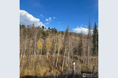11 Monument Gulch Way, Bellvue, CO 80512 - Photo 1