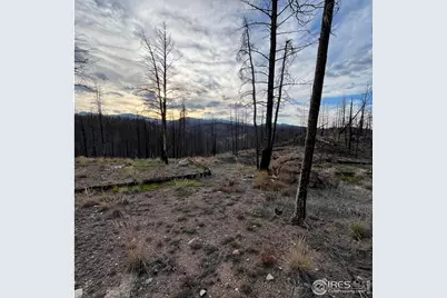 11 Monument Gulch Way, Bellvue, CO 80512 - Photo 9