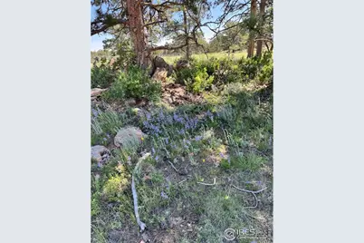 62 White Slide Mountain Ct, Livermore, CO 80536 - Photo 7