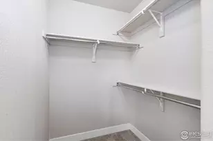 7186 Feather Reed Dr, Wellington, CO 80549 - Photo 29