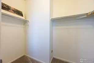 1604 Sorenson Dr, Windsor, CO 80550 - Photo 29