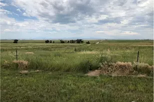 Lot J County Road 43 and 96, Pierce, CO 80650 - Photo 1