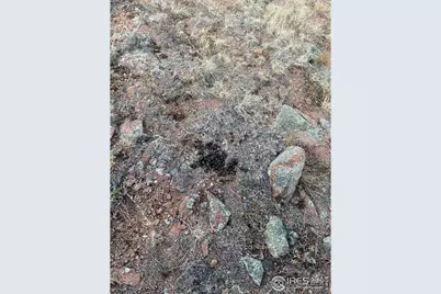 0 Slater Creek Rd, Florissant, CO 80816 - Photo 19