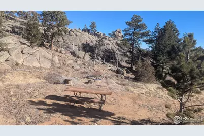 102 Mount Princeton Ct, Livermore, CO 80536 - Photo 33