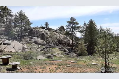 102 Mount Princeton Ct, Livermore, CO 80536 - Photo 25