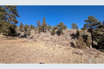 102 Mount Princeton Ct, Livermore, CO 80536 - Photo 37