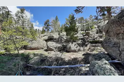 102 Mount Princeton Ct, Livermore, CO 80536 - Photo 27