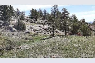 102 Mount Princeton Ct, Livermore, CO 80536 - Photo 21