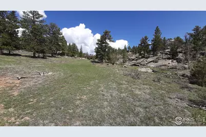 102 Mount Princeton Ct, Livermore, CO 80536 - Photo 17