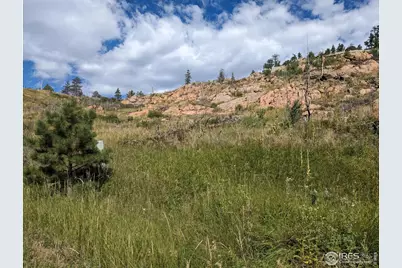 1737 Eiger Rd, Livermore, CO 80536 - Photo 21