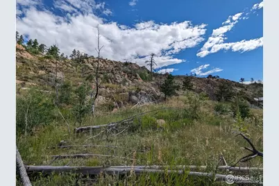 1737 Eiger Rd, Livermore, CO 80536 - Photo 17