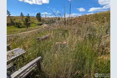1737 Eiger Rd, Livermore, CO 80536 - Photo 11
