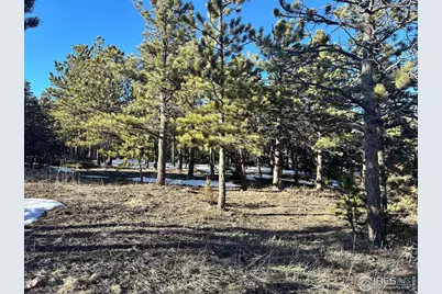 61 Rim Rd, Boulder, CO 80302 - Photo 11