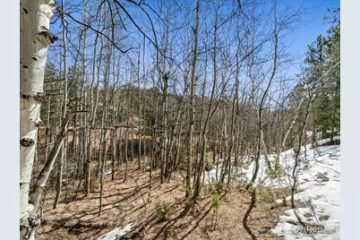 61 Rim Rd, Boulder, CO 80302 - Photo 23