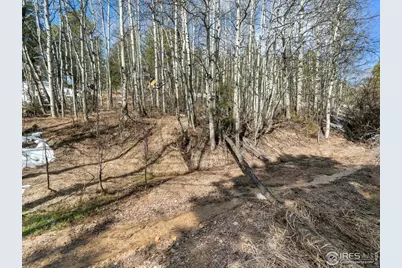 61 Rim Rd, Boulder, CO 80302 - Photo 21