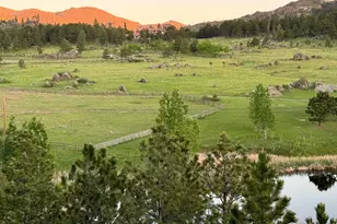 9200 Old Flowers Rd, Bellvue, CO 80512 - Photo 49