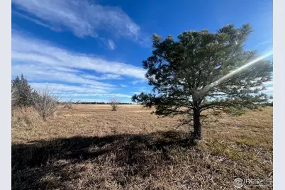 4880 County Rd H, Wiggins, CO 80654 - Photo 5