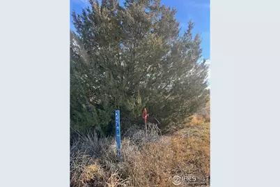 4956 County Rd H, Wiggins, CO 80654 - Photo 3