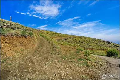 1600 Whale Rock Rd, Bellvue, CO 80512 - Photo 3