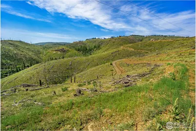 1600 Whale Rock Rd, Bellvue, CO 80512 - Photo 7