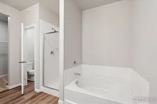 952 Cascade Falls St, Severance, CO 80550 - Photo 11