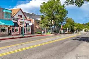 1780 Continental Peaks Cir, Estes Park, CO 80517 - Photo 9