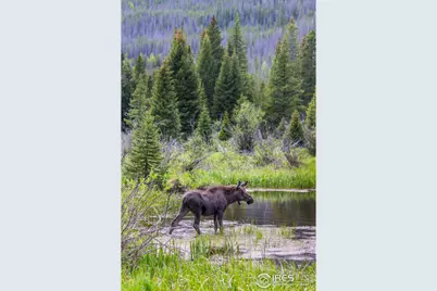 1640 Continental Peaks Cir, Estes Park, CO 80517 - Photo 11