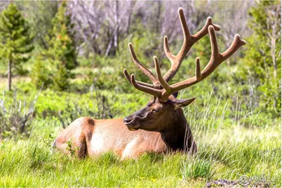 1640 Continental Peaks Cir, Estes Park, CO 80517 - Photo 13