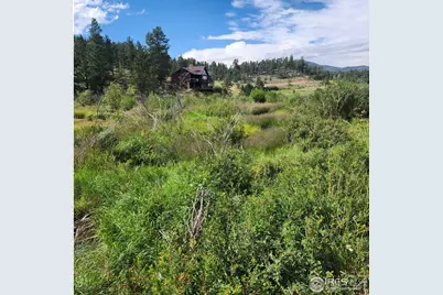 53 Ada Ct, Red Feather Lakes, CO 80545 - Photo 33