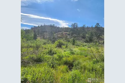 53 Ada Ct, Red Feather Lakes, CO 80545 - Photo 41