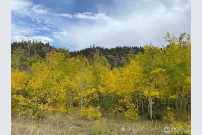 53 Ada Ct, Red Feather Lakes, CO 80545 - Photo 1