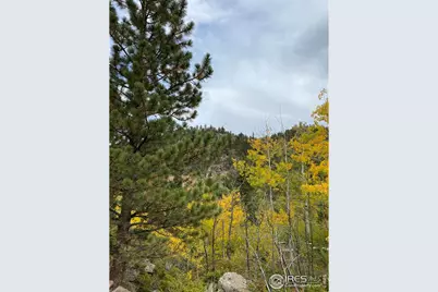 53 Ada Ct, Red Feather Lakes, CO 80545 - Photo 21