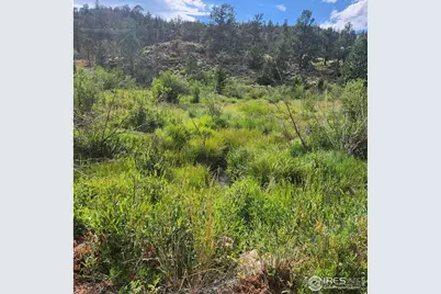 53 Ada Ct, Red Feather Lakes, CO 80545 - Photo 31