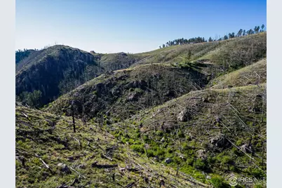 100 Canyon Gulch Rd, Bellvue, CO 80512 - Photo 17