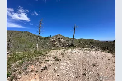 100 Canyon Gulch Rd, Bellvue, CO 80512 - Photo 21