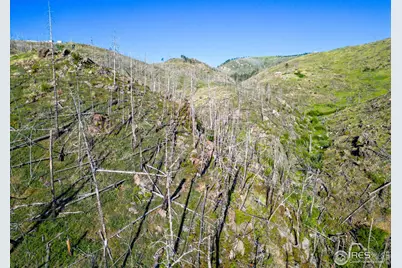 100 Canyon Gulch Rd, Bellvue, CO 80512 - Photo 7