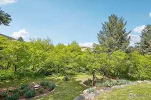 10113 Thunder Run, Littleton, CO 80125 - Photo 7