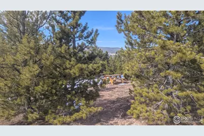 2182 Osage Trl, Red Feather Lakes, CO 80545 - Photo 15