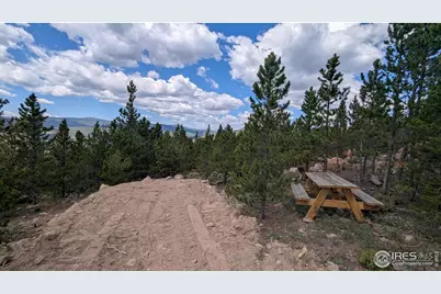 2182 Osage Trl, Red Feather Lakes, CO 80545 - Photo 39
