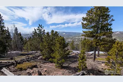 2182 Osage Trl, Red Feather Lakes, CO 80545 - Photo 11