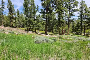 106 Beartrap Rd, Red Feather Lakes, CO 80545 - Photo 47