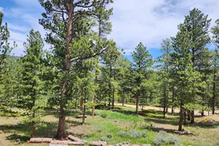 106 Beartrap Rd, Red Feather Lakes, CO 80545 - Photo 49